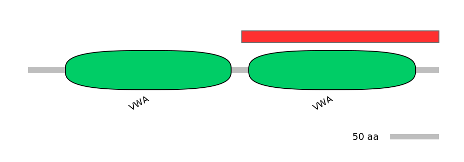 HsaINT1046448-INC