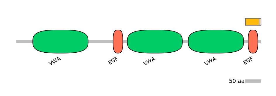 HsaINT1046449-EXC