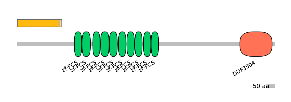 HsaINT1047269-EXC
