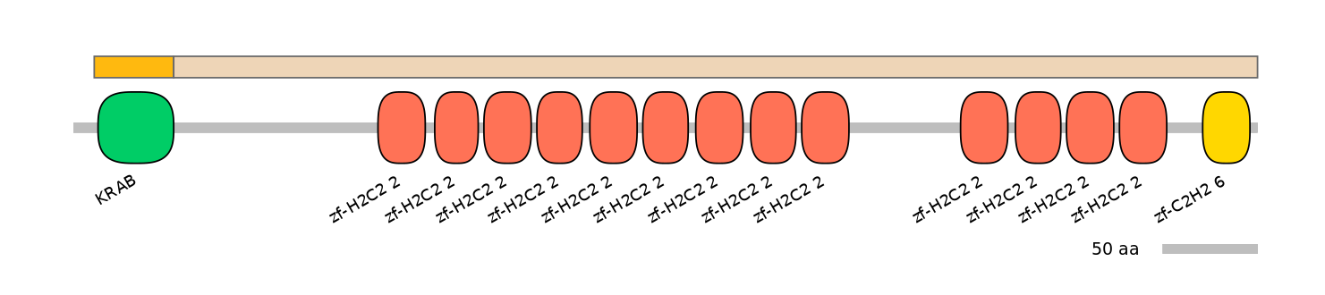 HsaINT1047320-EXC