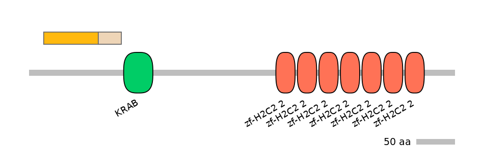HsaINT1047329-EXC