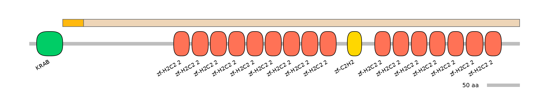 HsaINT1047401-EXC