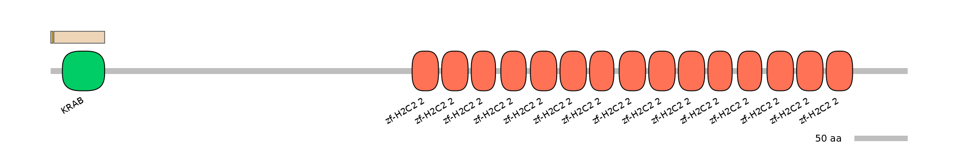 HsaINT1047407-EXC