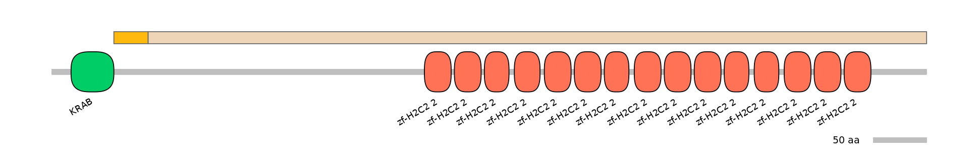 HsaINT1047409-EXC
