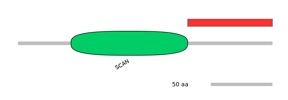 HsaINT1047448-INC