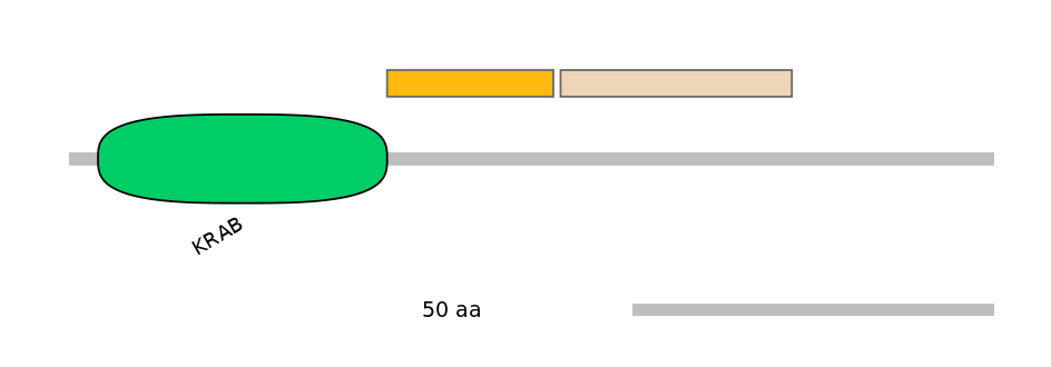 HsaINT1047455-EXC