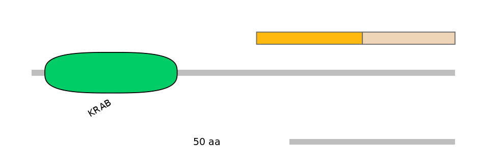HsaINT1047456-EXC