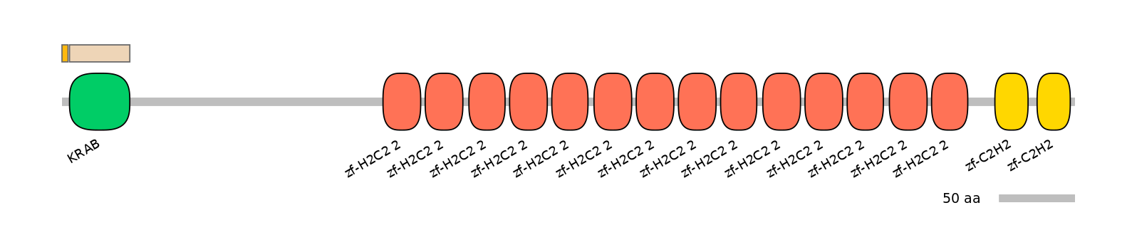 HsaINT1047578-EXC