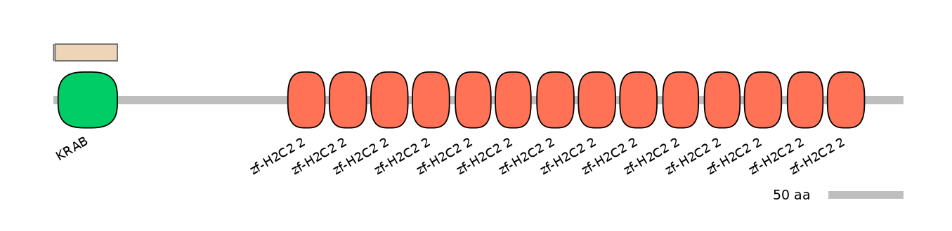 HsaINT1047612-EXC
