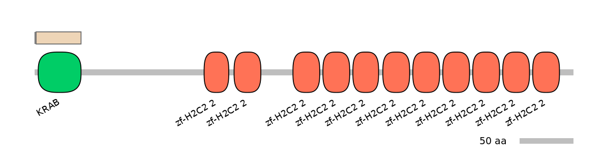 HsaINT1047650-EXC
