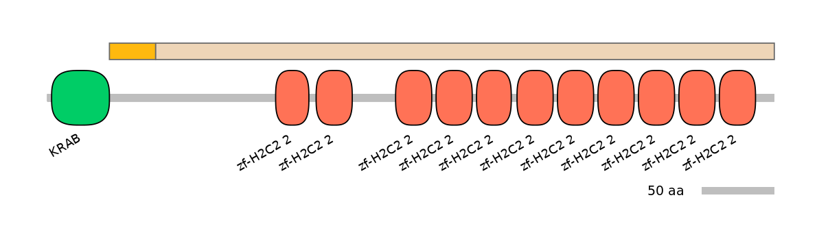 HsaINT1047651-EXC