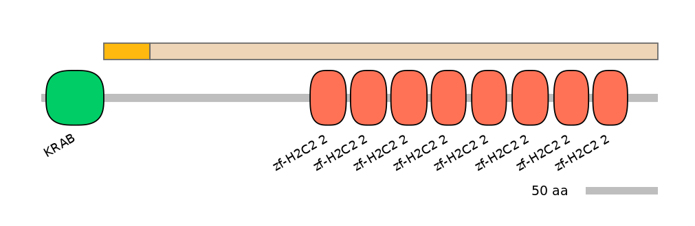 HsaINT1047658-EXC