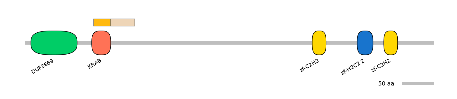HsaINT1047662-EXC