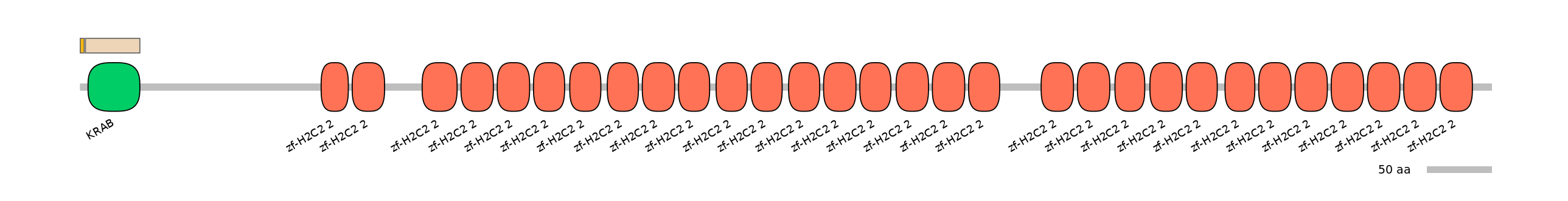 HsaINT1047706-EXC