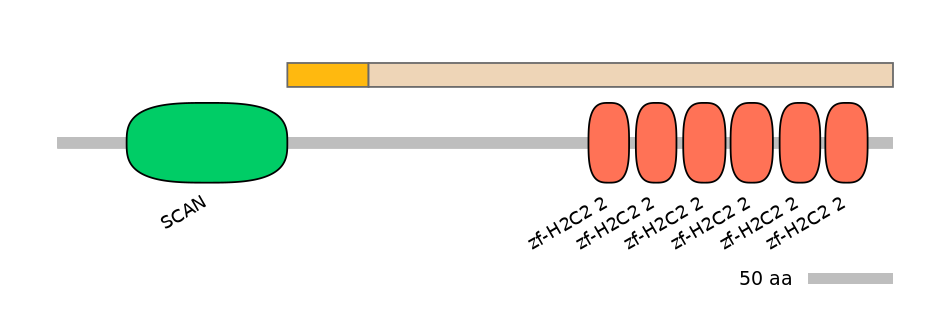 HsaINT1047788-EXC