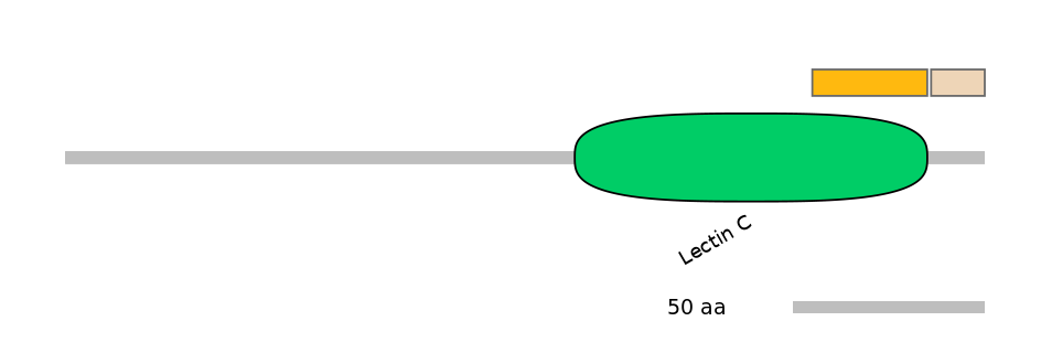 HsaINT1047857-EXC