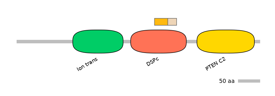 HsaINT1047991-EXC