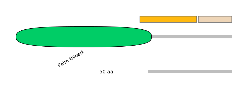 HsaINT1048120-EXC