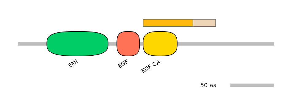 HsaINT1048123-EXC