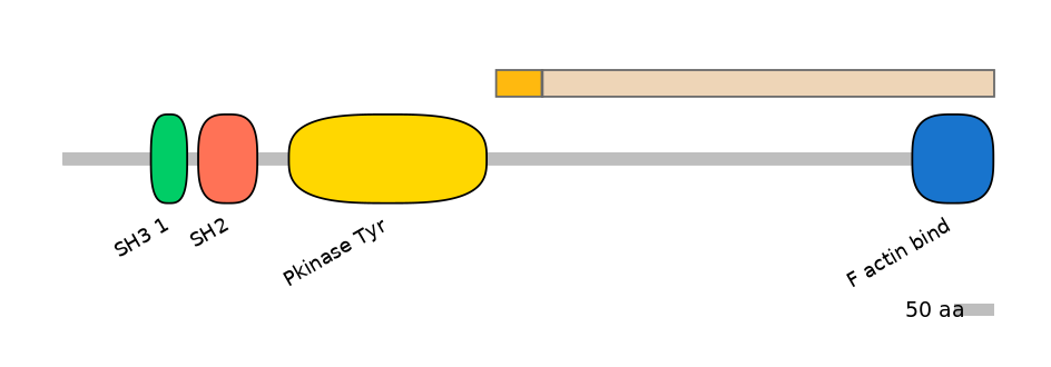 MmuALTA0000951-2_2-INC