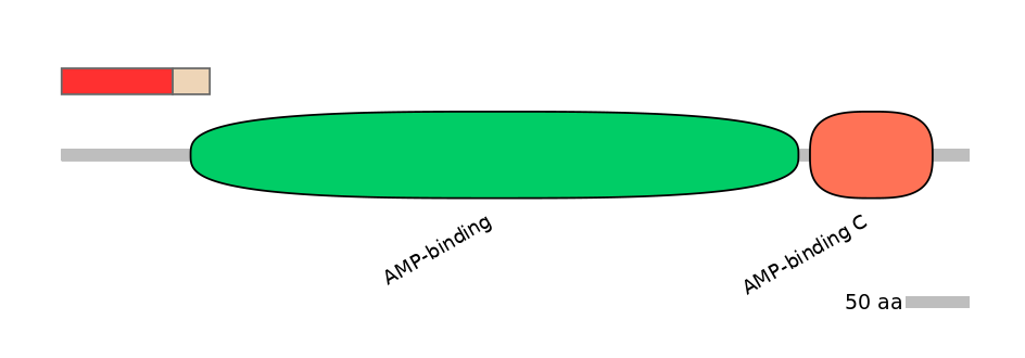 MmuALTA0001063-4_5-EXC