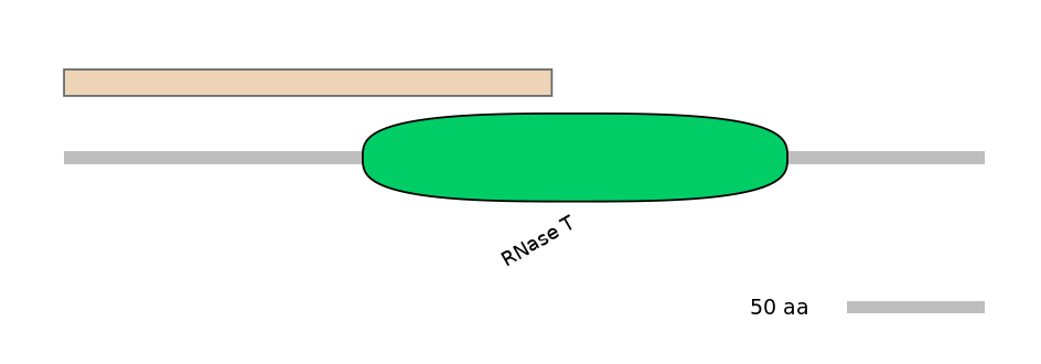 MmuALTA0001260-1_2-EXC