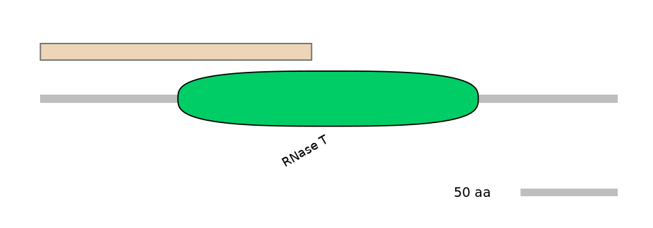 MmuALTA0001260-2_2-EXC