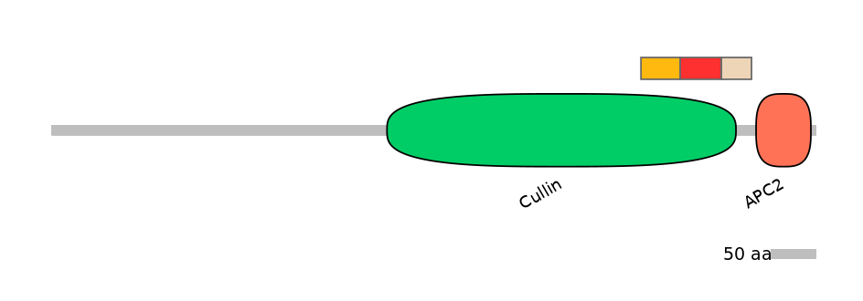 MmuALTA0001550-7_9-EXC