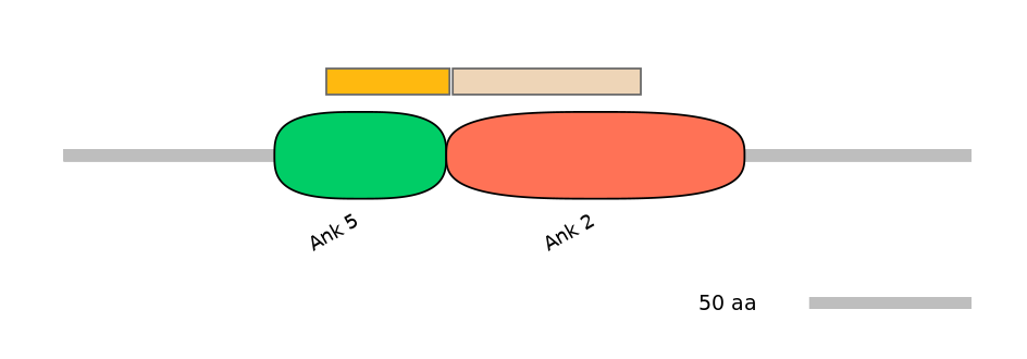 MmuALTA0001658-1_2-EXC