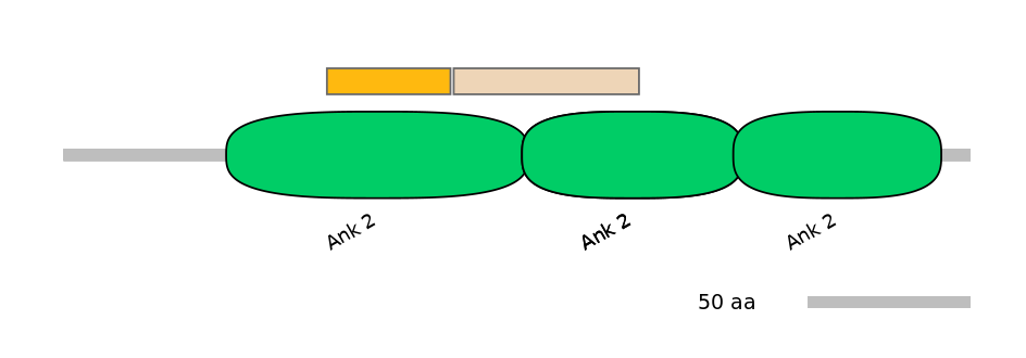 MmuALTA0001658-2_2-EXC