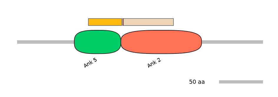 MmuALTA0001658-2_2-INC