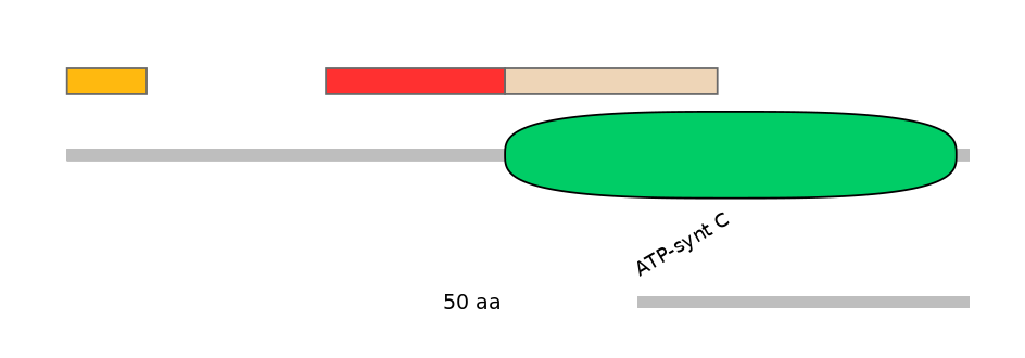 MmuALTA0002324-5_5-INC