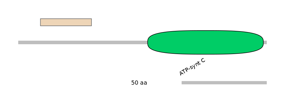 MmuALTA0002326-1_2-EXC