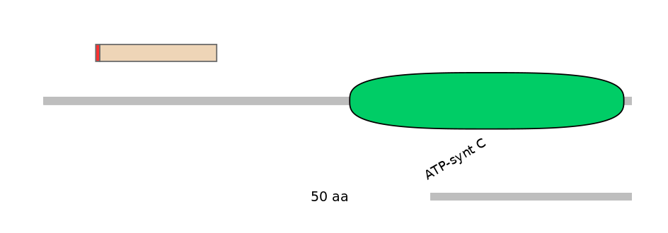 MmuALTA0002326-2_2-INC