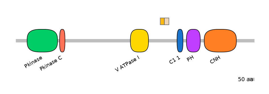 MmuALTA0004162-2_3-EXC