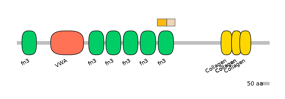 MmuALTA0004425-1_2-EXC