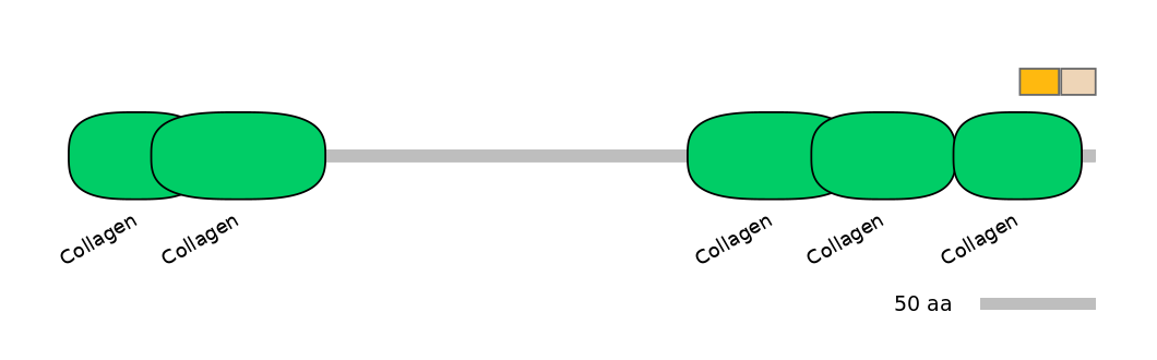 MmuALTA0004427-1_2-EXC