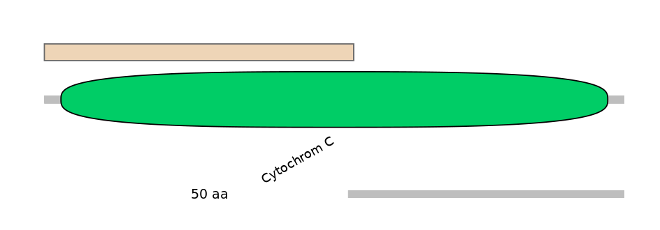 MmuALTA0004924-3_4-INC