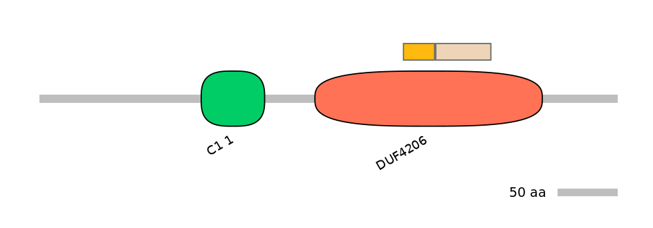 MmuALTA0005312-1_4-EXC