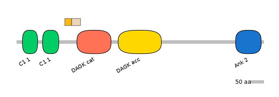 MmuALTA0005390-1_2-EXC