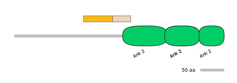 MmuALTA0006160-1_2-EXC