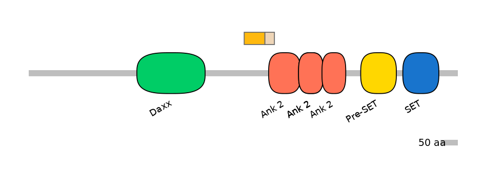 MmuALTA0006160-1_2-INC