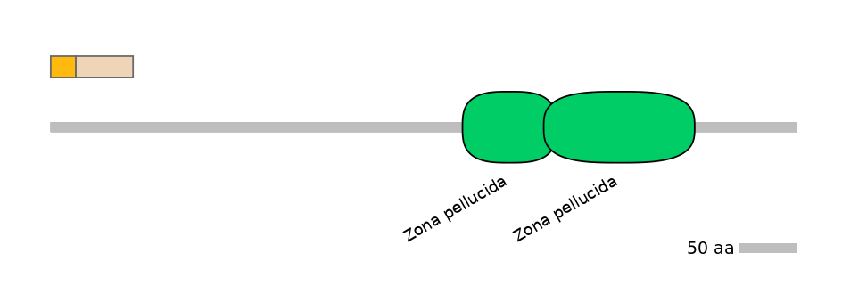 MmuALTA0006387-1_2-INC