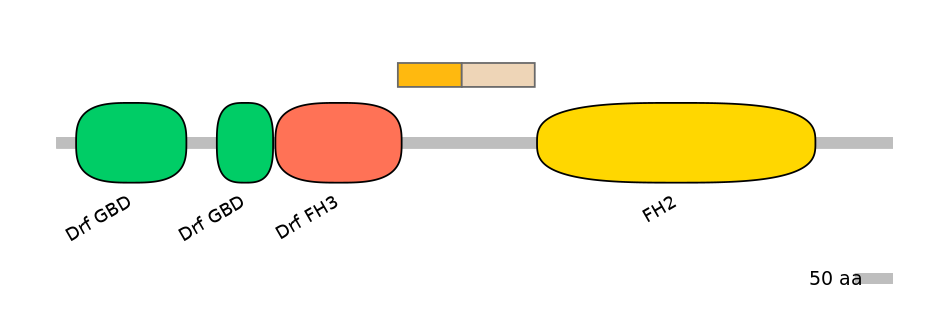 MmuALTA0007312-1_2-EXC