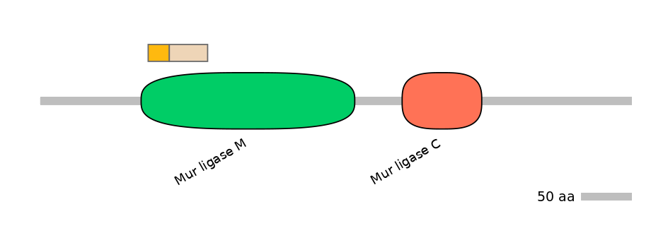 MmuALTA0007389-1_3-EXC
