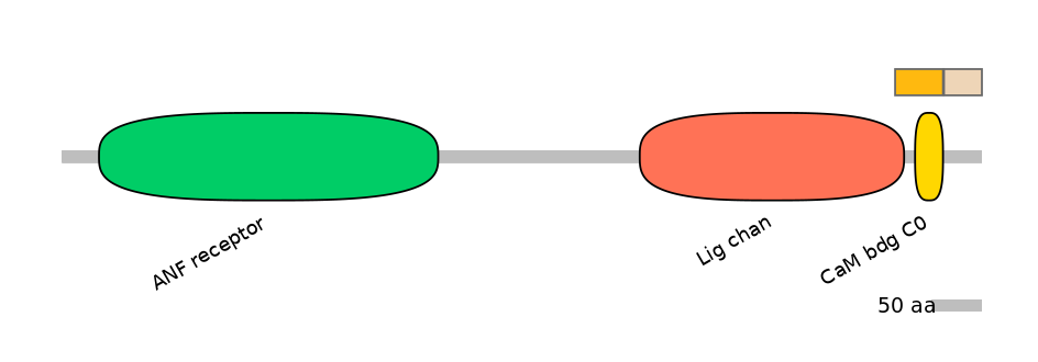 MmuALTA0008176-1_4-EXC