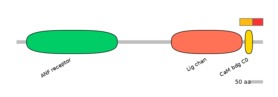 MmuALTA0008176-3_4-EXC