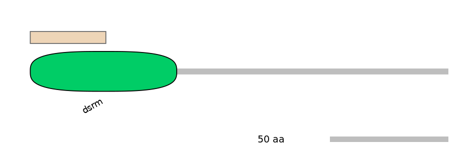 MmuALTA0009119-2_3-EXC