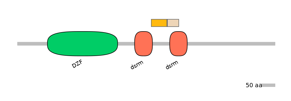 MmuALTA0009119-3_3-EXC