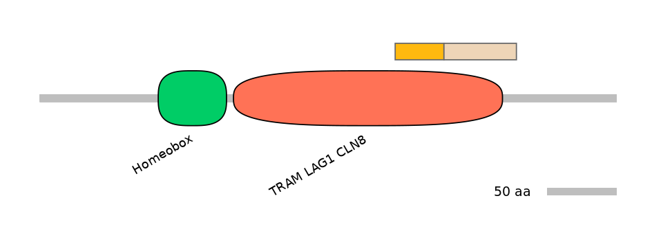 MmuALTA0009935-1_2-EXC